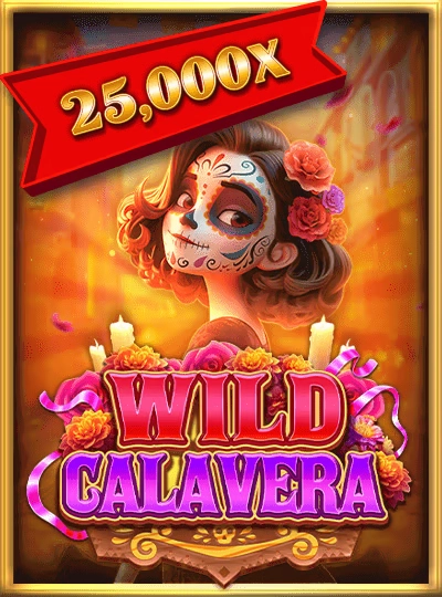 7slot 7slot